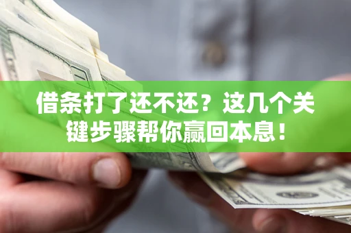 济南借条打了还不还？这几个关键步骤帮你赢回本息！