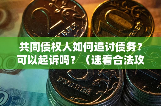 济南共同债权人如何追讨债务？可以起诉吗？（速看合法攻略）
